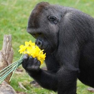 Meet your Posher, Colby